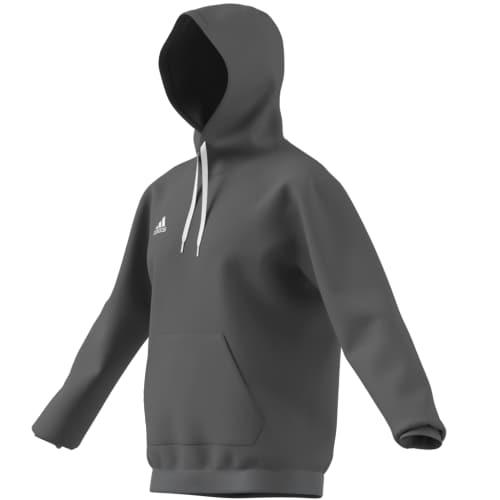 ENT22 HOODY